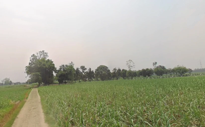 Behsuma, Uttar Pradesh 250401, India