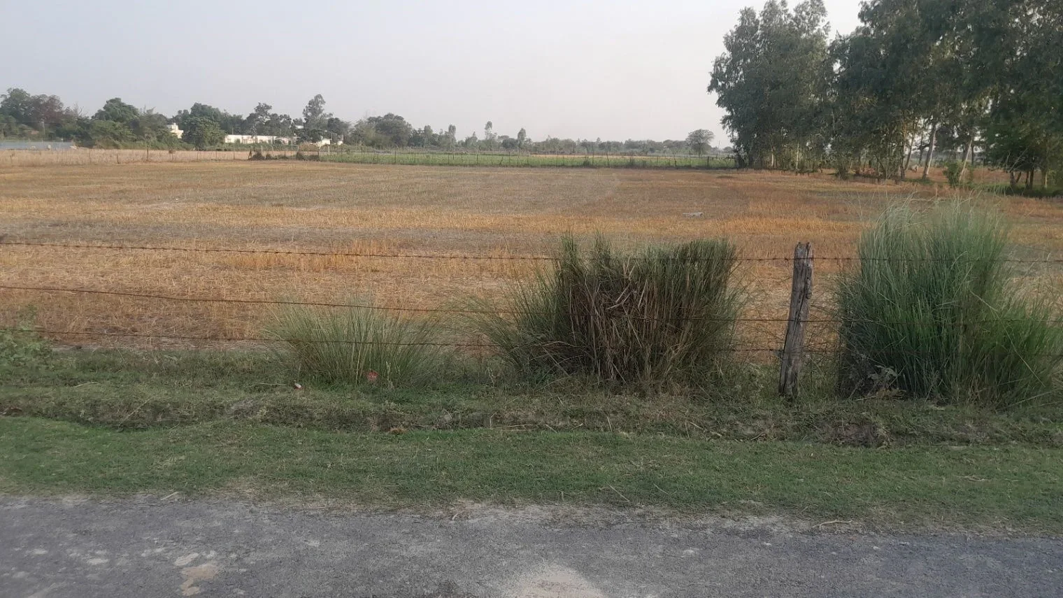 P56C+PX Bhadokhar, Uttar Pradesh, India