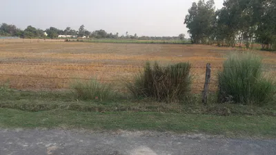 P56C+PX Bhadokhar, Uttar Pradesh, India preview 2