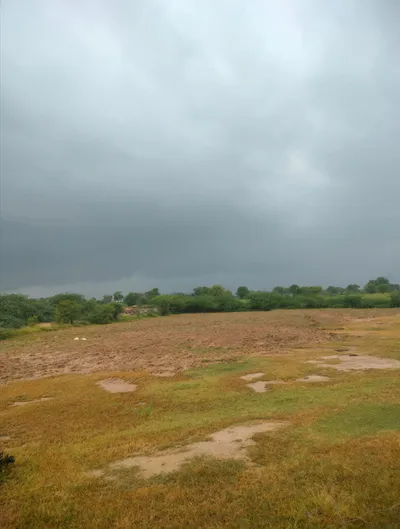 MH5J+R92, Jaipur, Ladana, Rajasthan 303005, India preview 2