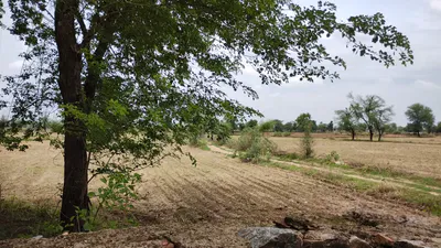 Barnagar, Madhya Pradesh 456771, India preview 3