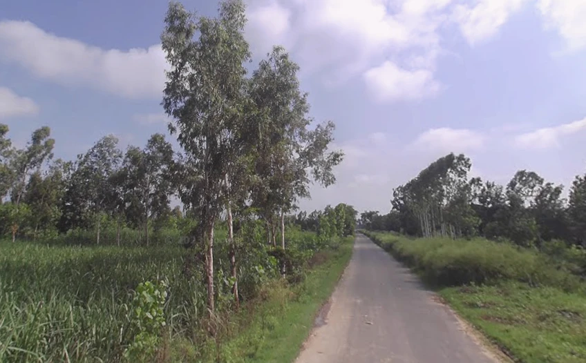 Sarsawa, Uttar Pradesh 247232, India