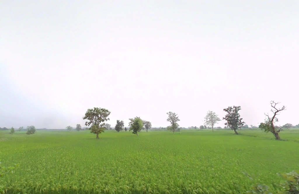 R665+867, Ward Number 1, Chhura, Chhattisgarh 493996, India