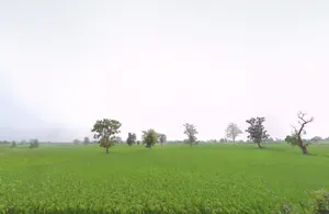 R665+867, Ward Number 1, Chhura, Chhattisgarh 493996, India preview 2