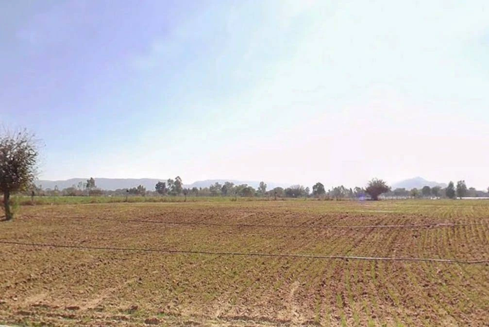 Med, Rajasthan 303003, India