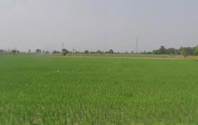 Hapur, Uttar Pradesh 245101, India preview 3
