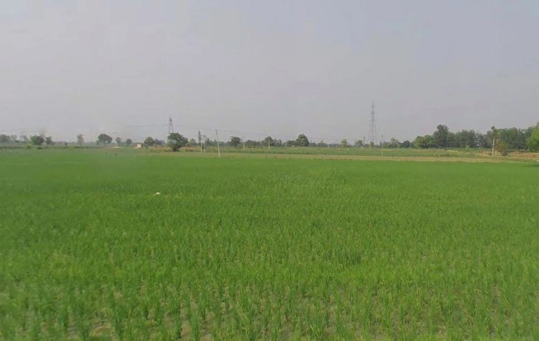 Hapur, Uttar Pradesh 245101, India