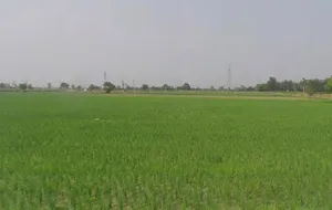 Hapur, Uttar Pradesh 245101, India preview 3