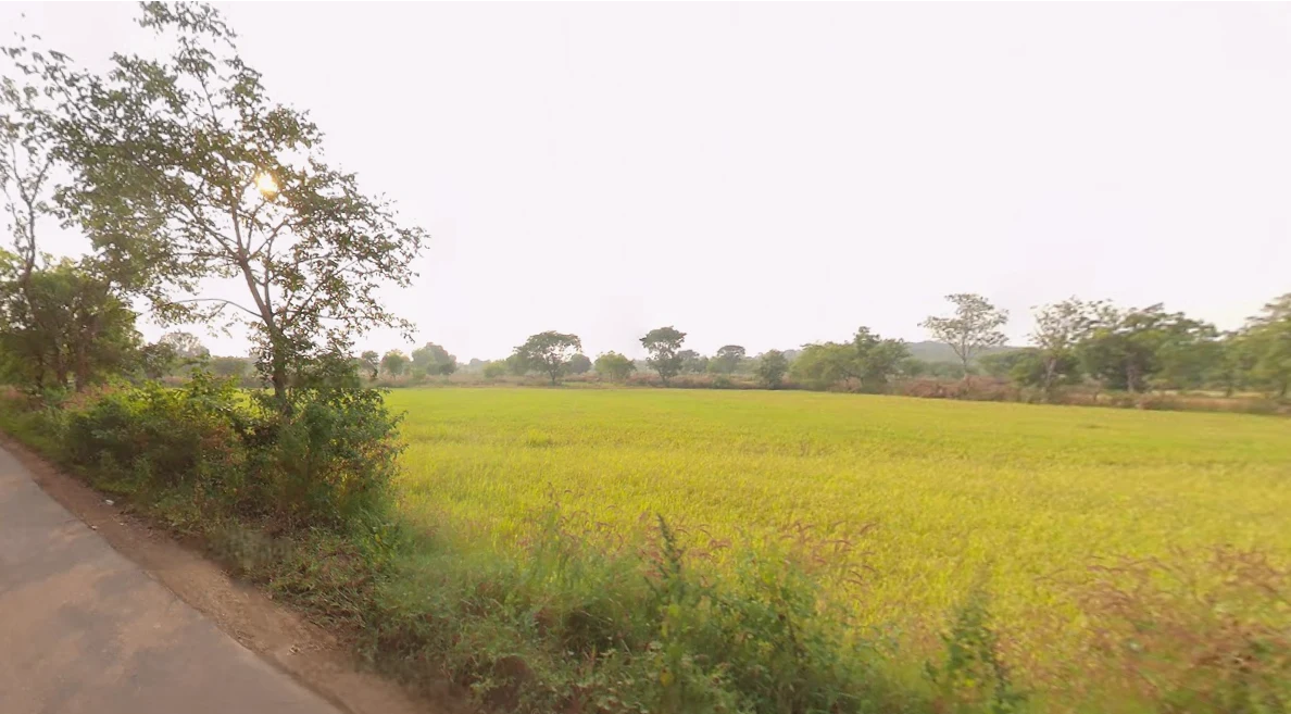 Chantipali, Odisha 768226, India