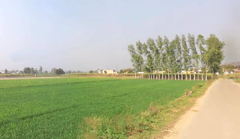 Phalauda, Uttar Pradesh 250401, India