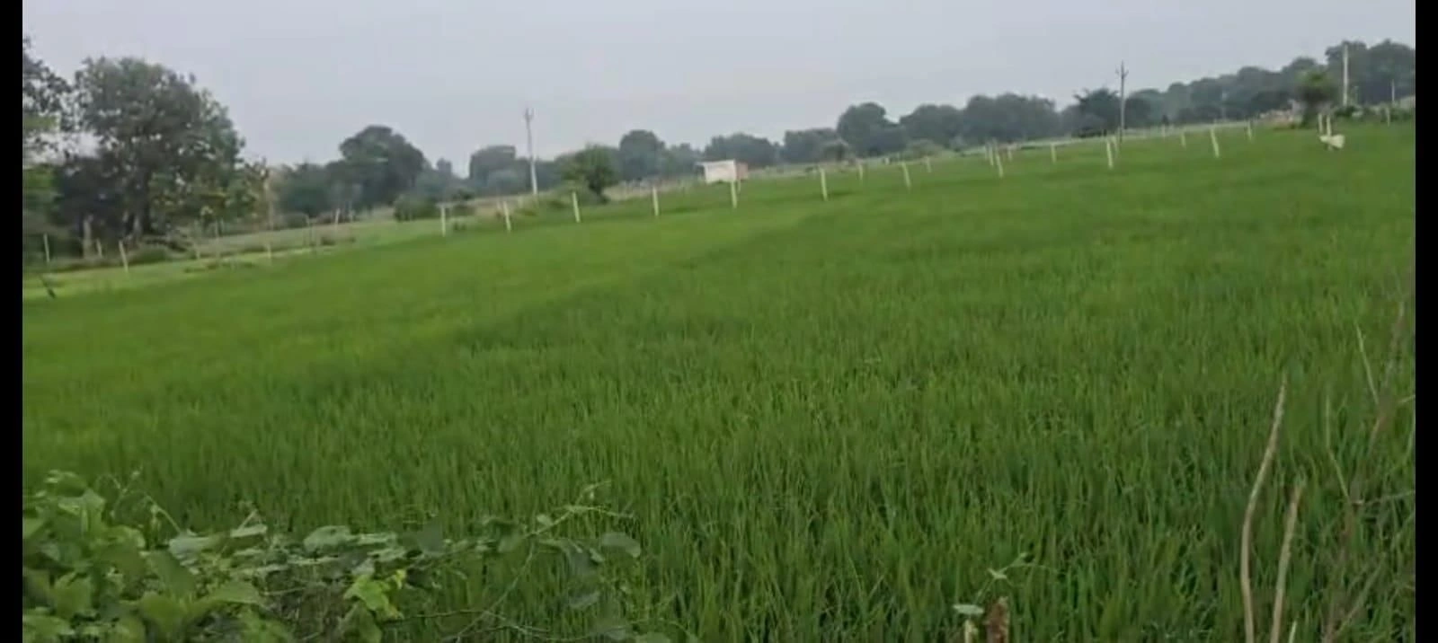 J2P5+WH Jamua, Uttar Pradesh, India