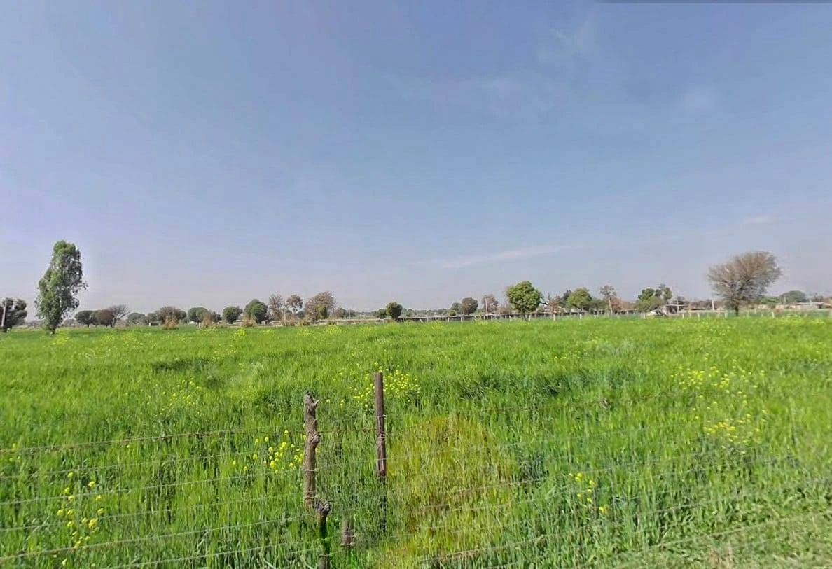 QM6W+8Q, Ismalpur, Ismailpur, Rajasthan 301404, India