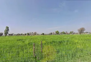 QM6W+8Q, Ismalpur, Ismailpur, Rajasthan 301404, India preview 2