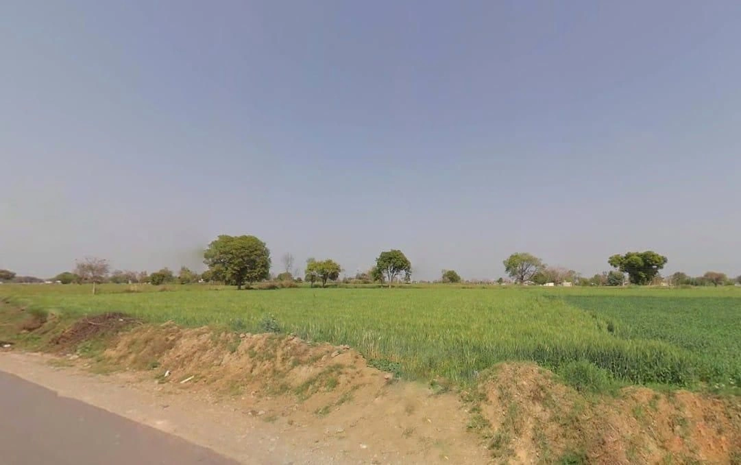 Bamboli, Rajasthan, India