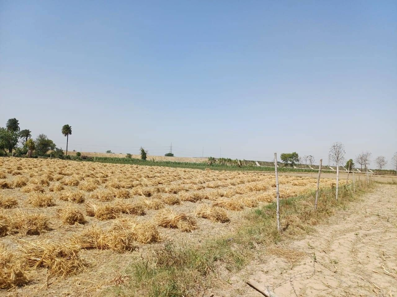 Sardhana, Uttar Pradesh 250342, India