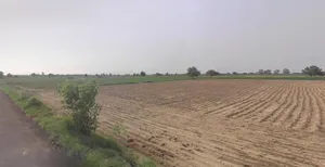 Chhatna, West Bengal 722132, India preview 2