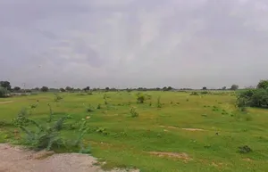 Baghawas, Rajasthan 303603, India preview 2