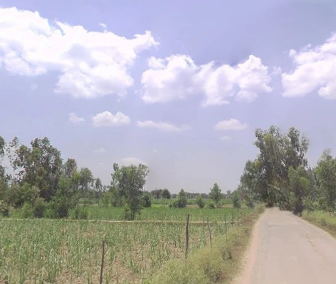 Shahabad - Bilari, Shahabad, Uttar Pradesh, India