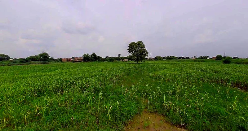 Jurhera, Rajasthan 321023, India preview 2