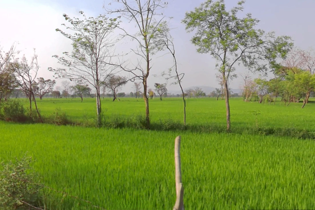 Nagpura, Chhattisgarh 491001, India