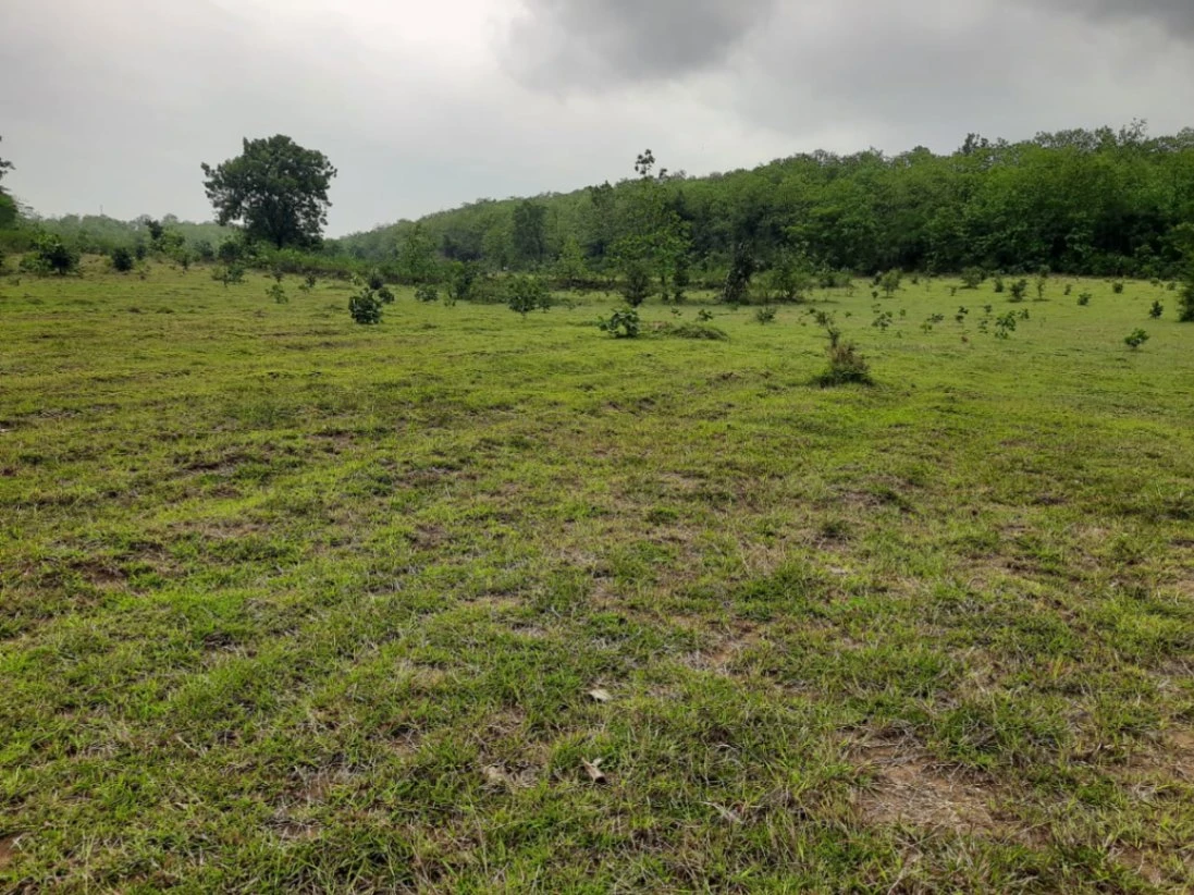 5JJG+3F Kalkuhi, Maharashtra, India