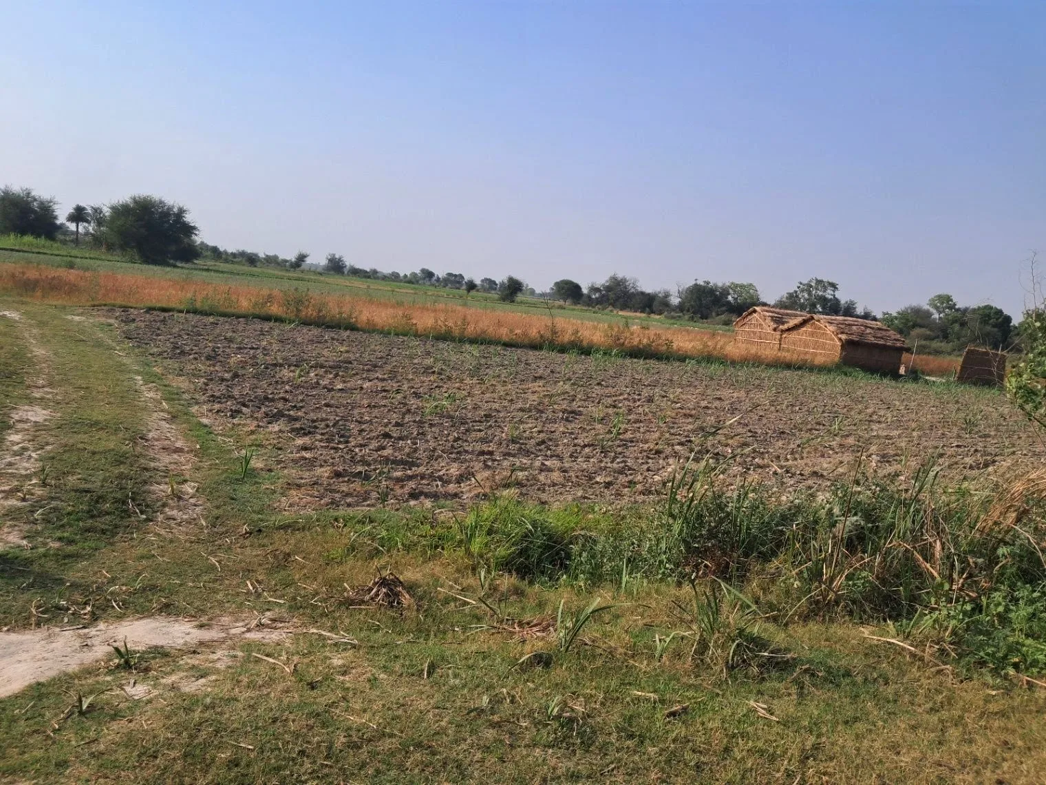 M4VX+RM Mainuddinpur, Uttar Pradesh, India