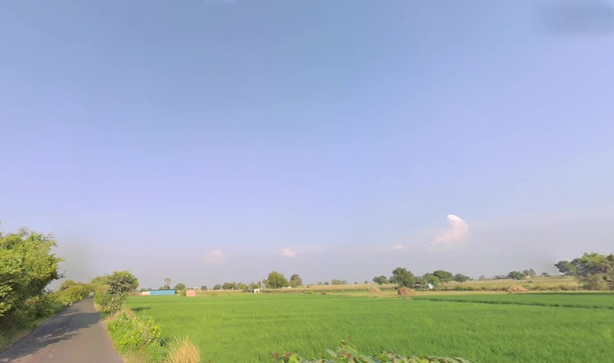 Charkhi Dadri, Haryana 127306, India