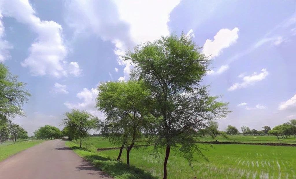 Singarpur, Chhattisgarh 493118, India