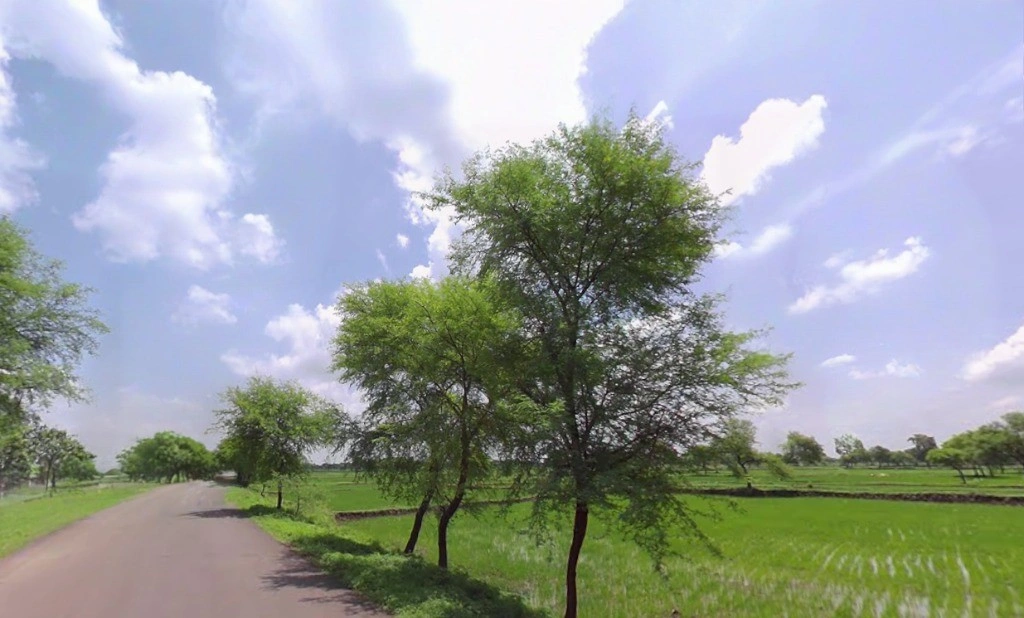 Singarpur, Chhattisgarh 493118, India