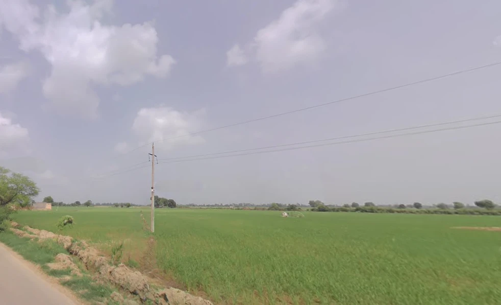 Meham, Haryana 124112, India