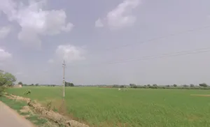 Meham, Haryana 124112, India preview 2