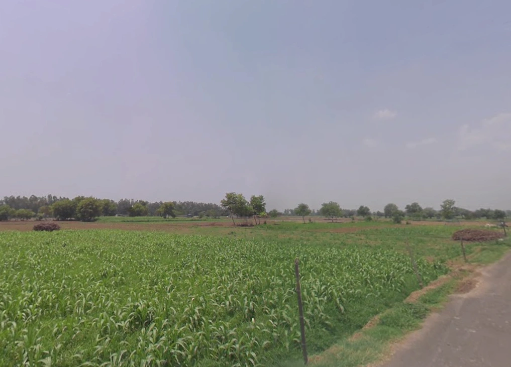 659X+7P Goalhati, West Bengal, India