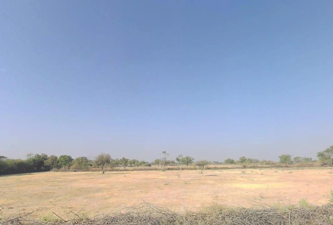 V5VM+XGF, Bandai, Rajasthan 306421, India