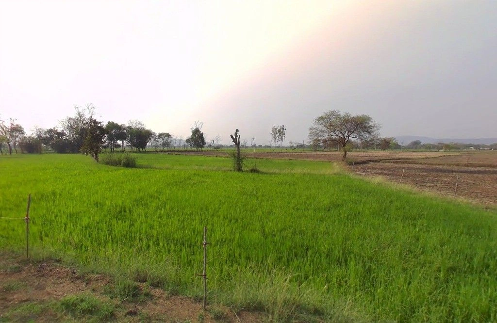 Bhalukona, Chhattisgarh, India preview 3