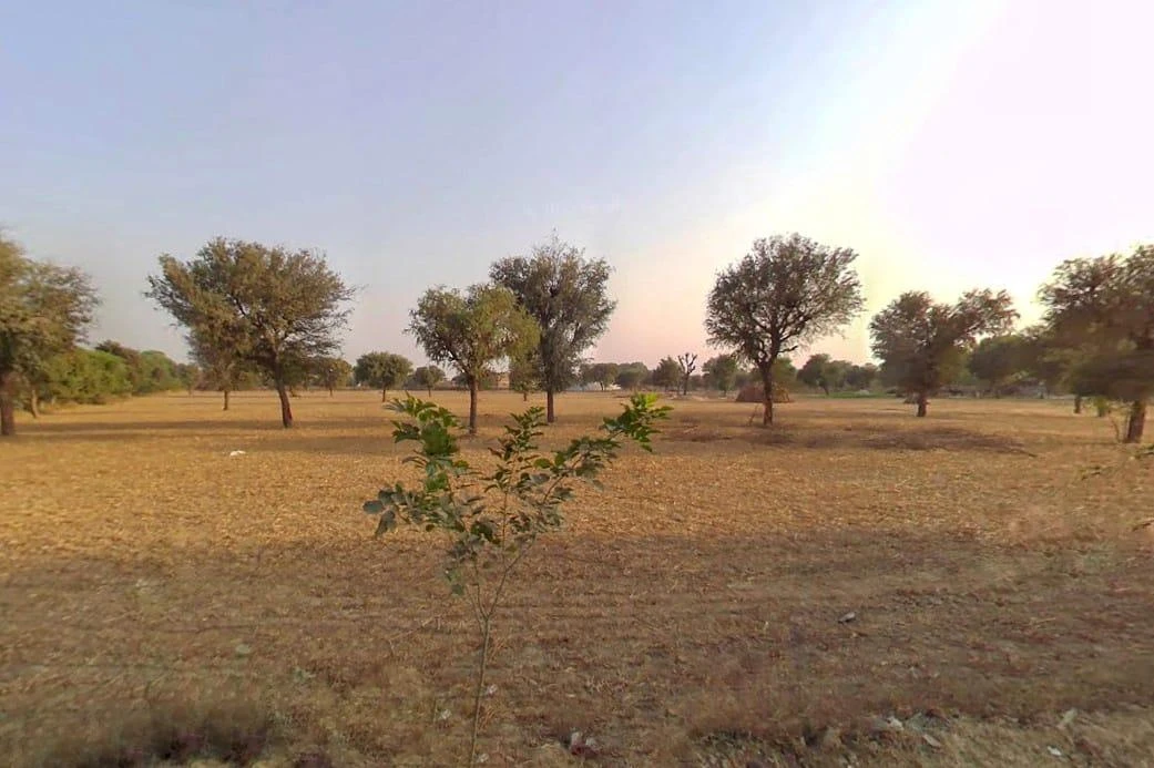 XMCP+843, Peethawas, Rajasthan, India