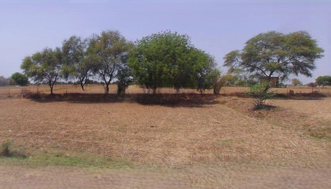 Gohana, Haryana 131301, India