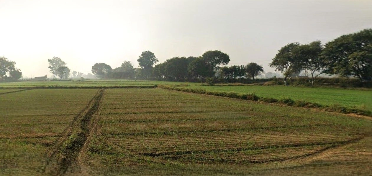 Mohanlalganj, Uttar Pradesh 226301, India