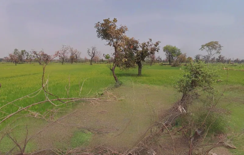 Sonpairi-3, Chhattisgarh 493441, India preview 2