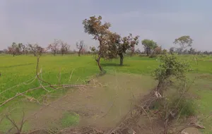 Sonpairi-3, Chhattisgarh 493441, India preview 2