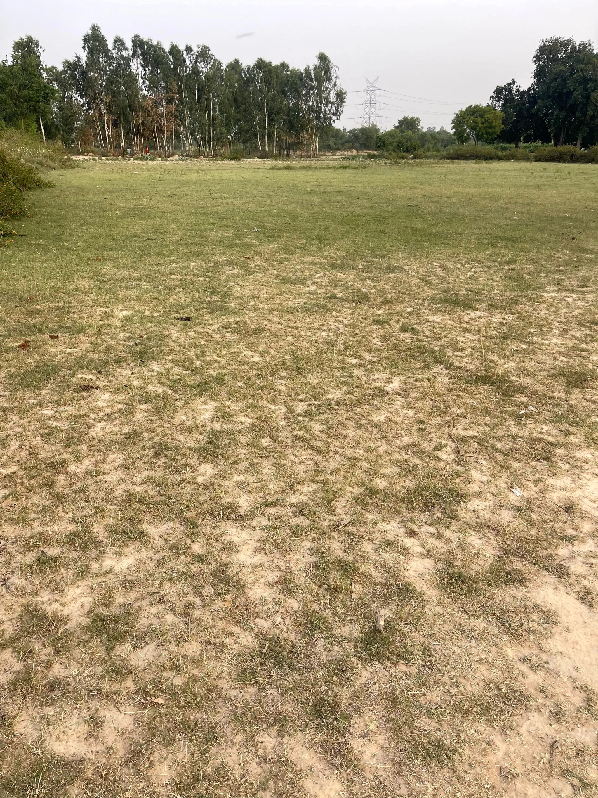 Sandila, Uttar Pradesh 241204, India
