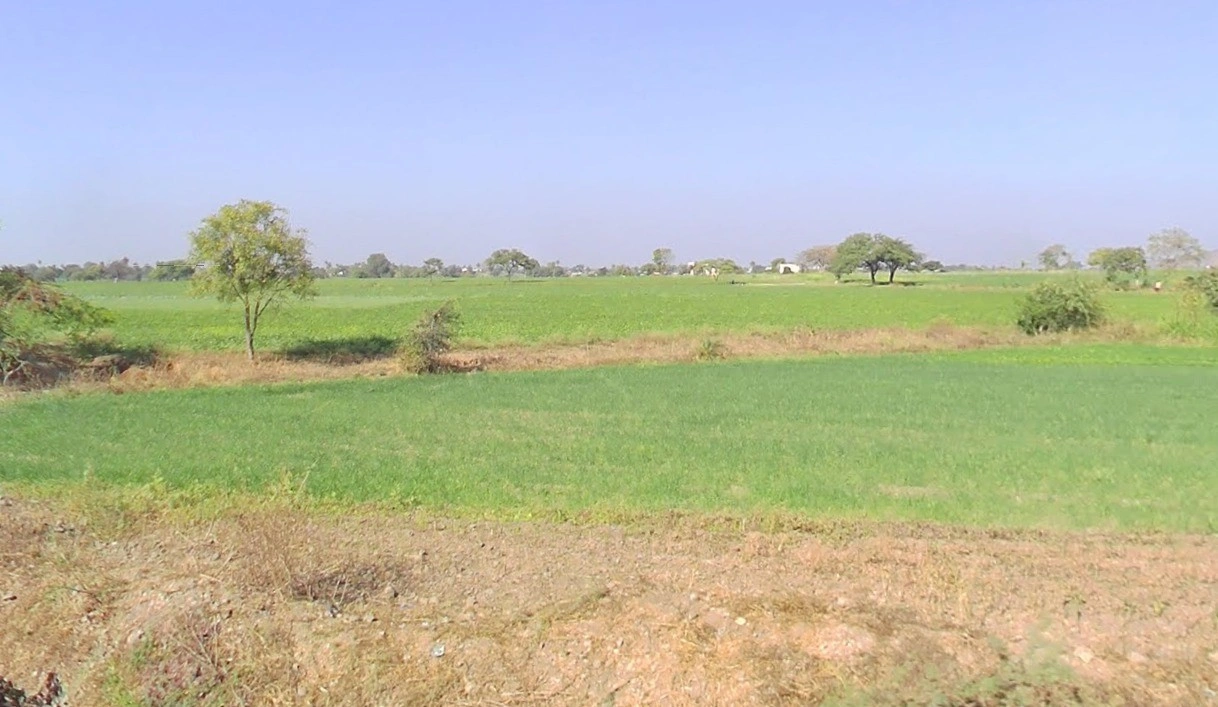 GRGH+W7W, Bhagora, Madhya Pradesh, India