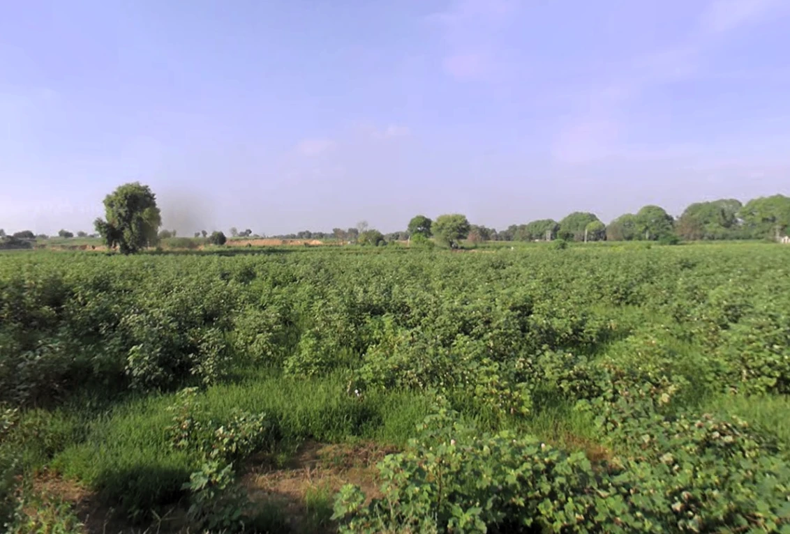 Siwani, Haryana 127046, India