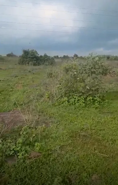 Barkhedi, Bhopal, Madhya Pradesh 464111, India preview 3