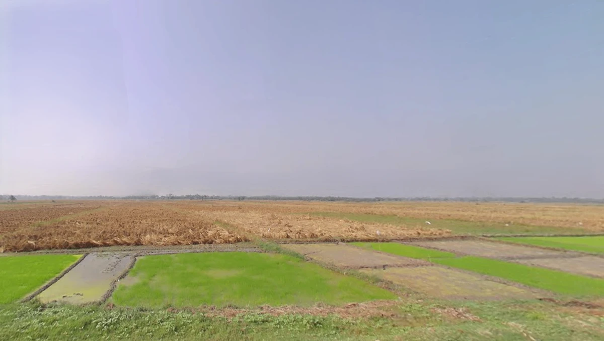 Natagachi, West Bengal 743613, India