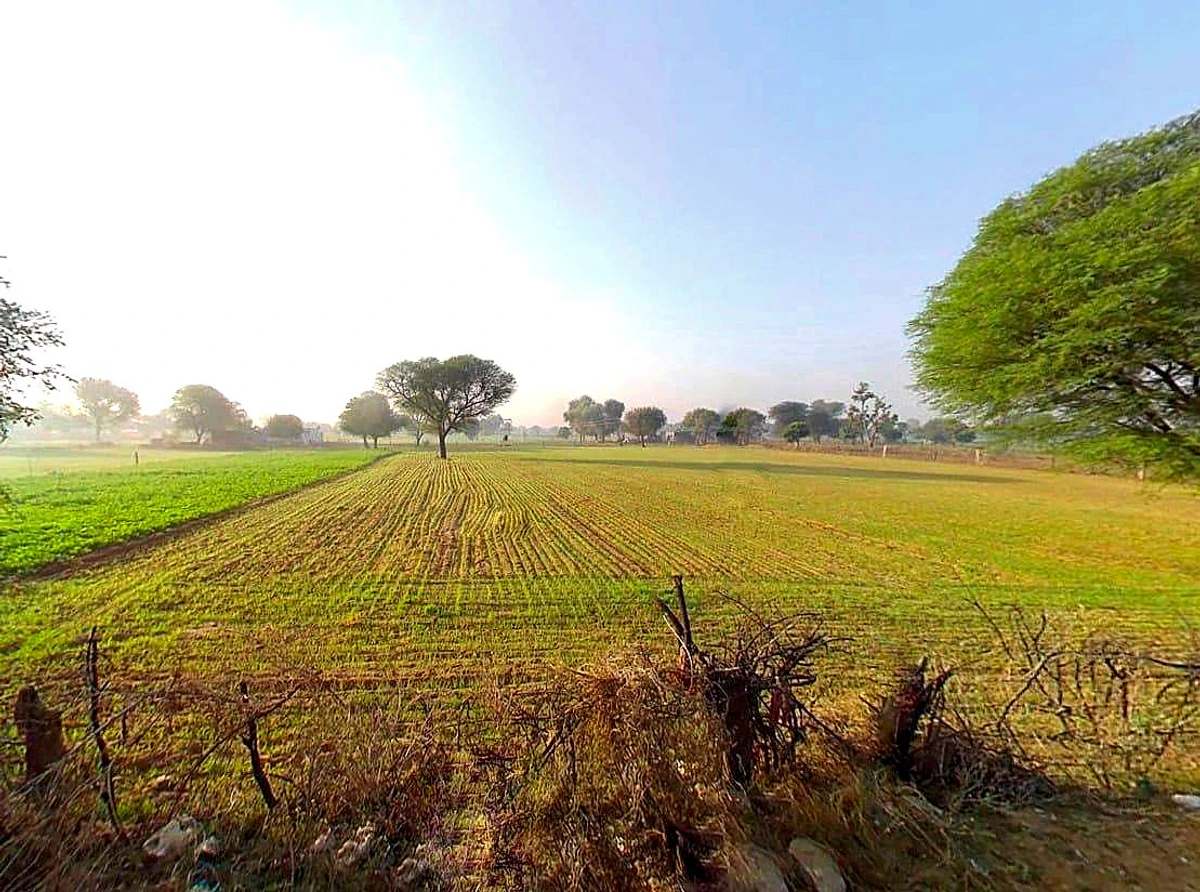 Sargoth, Rajasthan 332404, India