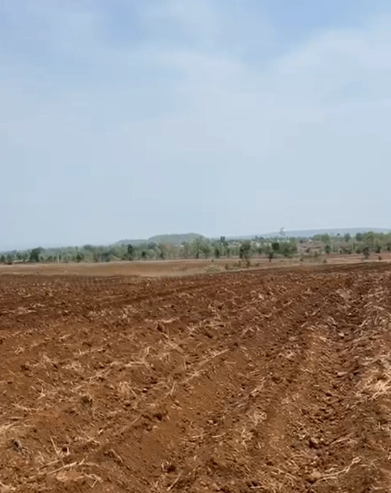 Kiloda, Shajapur, Madhya Pradesh 465227, India