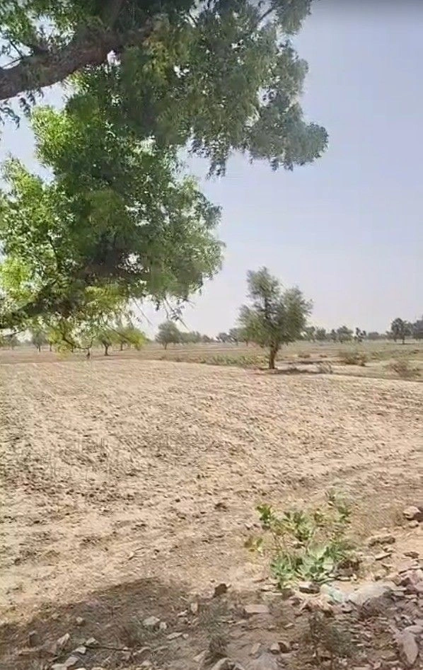 Mungari, Prayagraj, Uttar Pradesh, India preview 2