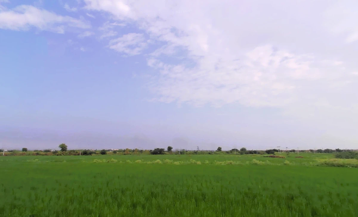 Sohna, Haryana 122103, India