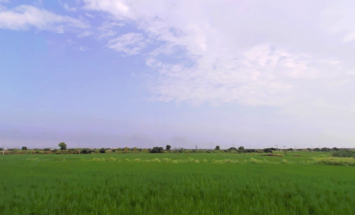 Sohna, Haryana 122103, India