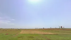 Bero, Jharkhand 835202, India preview 2